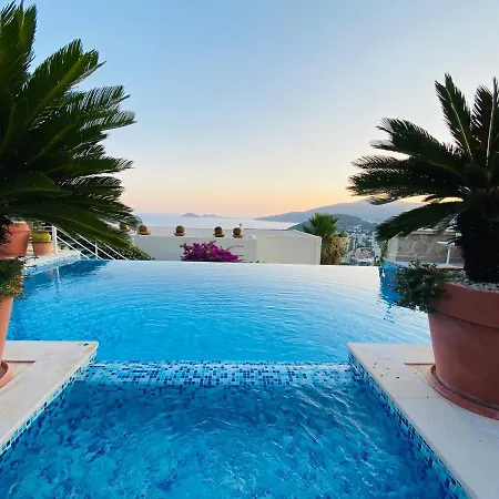 Villa Casache *